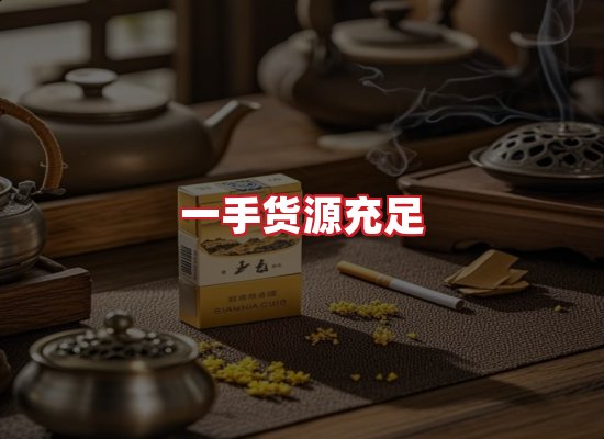 专业团队
